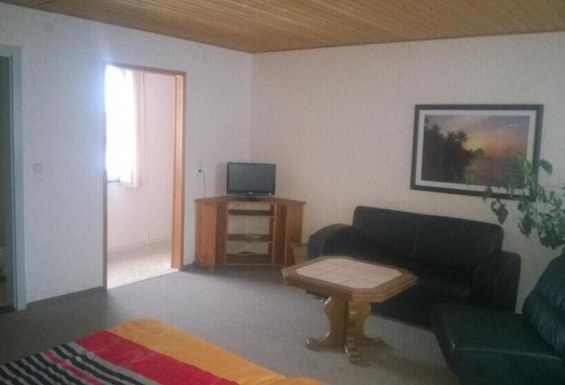 Номер Стандарт, Wiedaer Hütte
