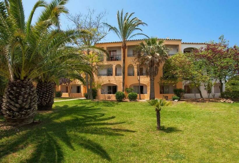 Aile Odası, Sol Falcó Menorca