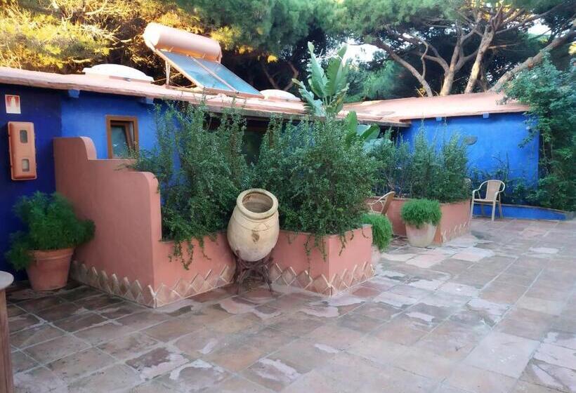 בקתה סופריור, Beach Hotel Dos Mares