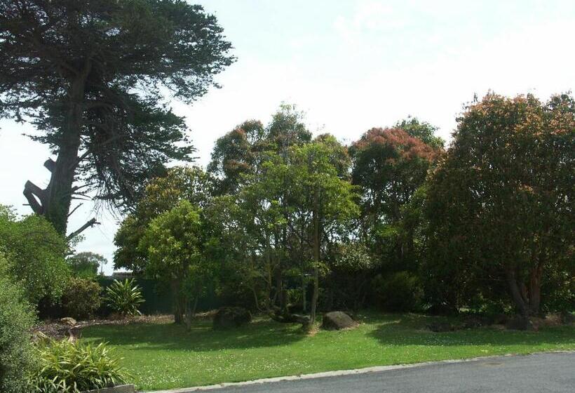 패밀리 룸, Melaleuca Motel