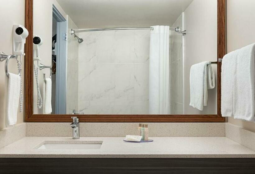 Номер Deluxe Кровать Кинг, Travelodge By Wyndham Calgary South