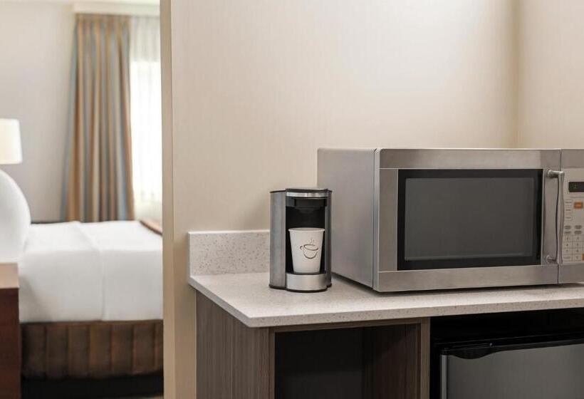 Номер Стандарт Кровать Кинг Адаптированный для Инвалидов, Travelodge By Wyndham Calgary South