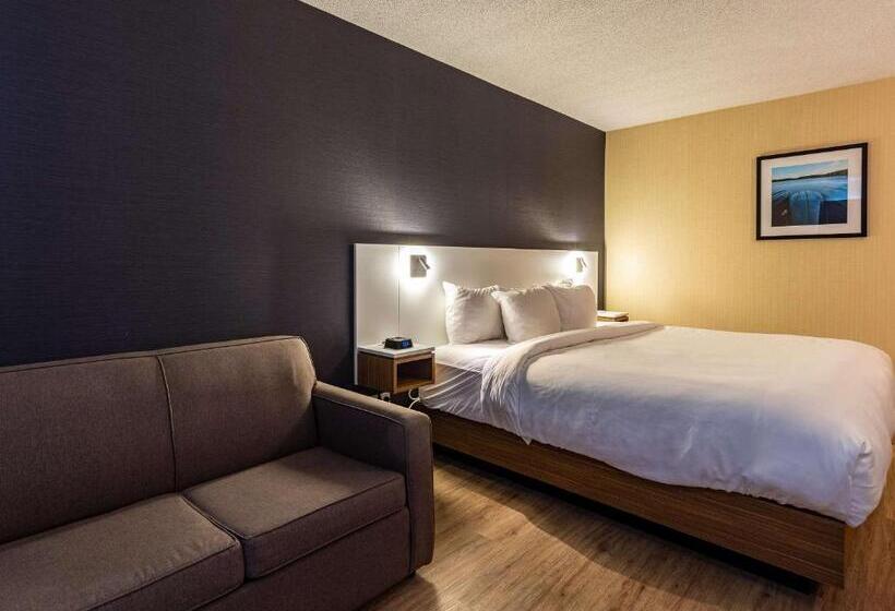 Стандартный Номер Нижний Этаж, Comfort Inn