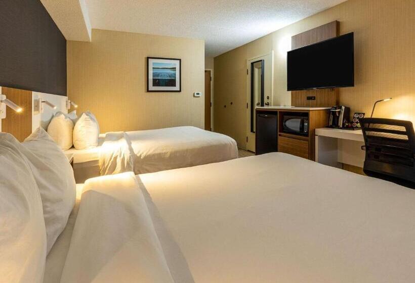 Номер Стандарт, Comfort Inn