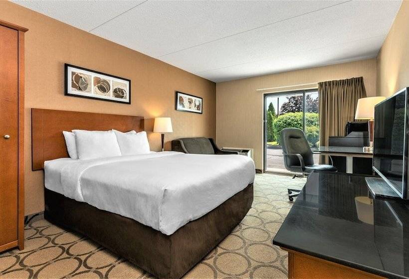 一楼标准间, Comfort Inn