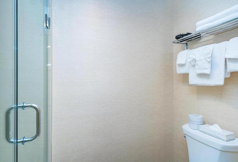 キングサイズベッドのスタンダードルーム, Ramada By Wyndham Niagara Falls Near The Falls