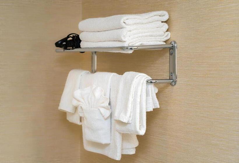 キングサイズベッドのスイートルーム, Ramada By Wyndham Niagara Falls Near The Falls