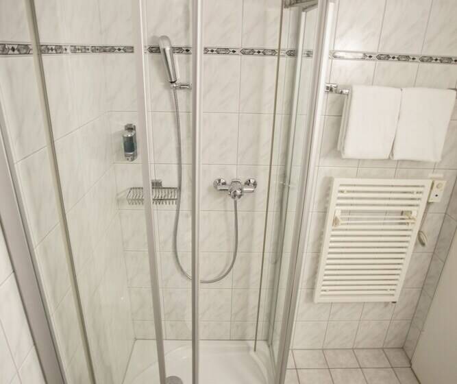 اتاق استاندارد, Garni Hotel Frohburg