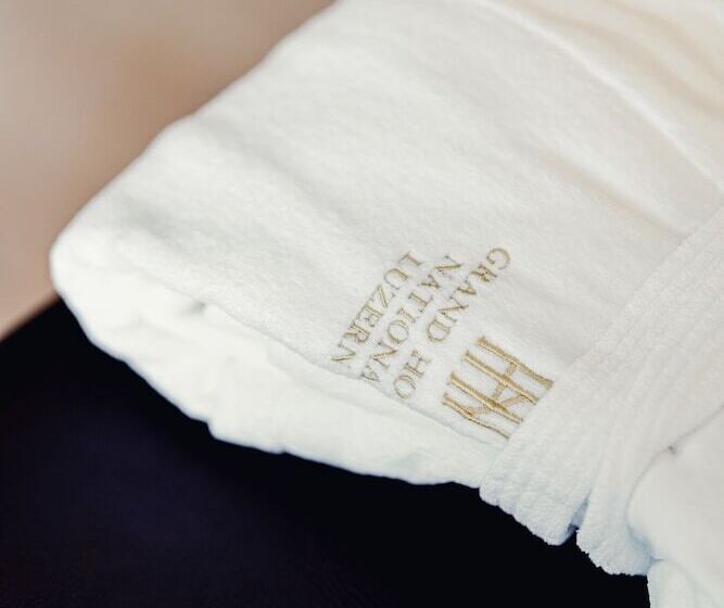 带河湖景观的轻年套房, Grand Hotel National Luzern