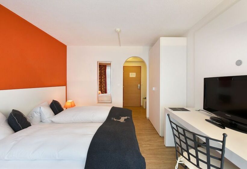 Quarto Estandar, Piz St. Moritz