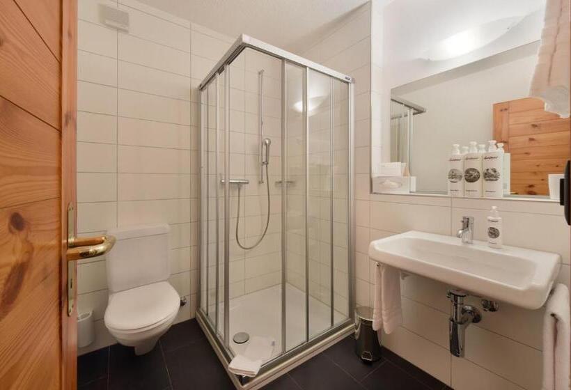 اتاق اکونومی, Schweizerhof Lenzerheide