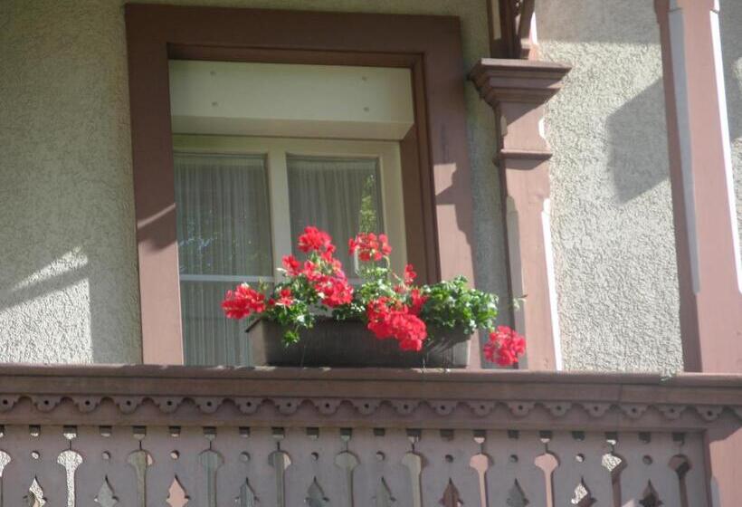 اتاق استاندارد با بالکن, Sonne Interlaken Matten