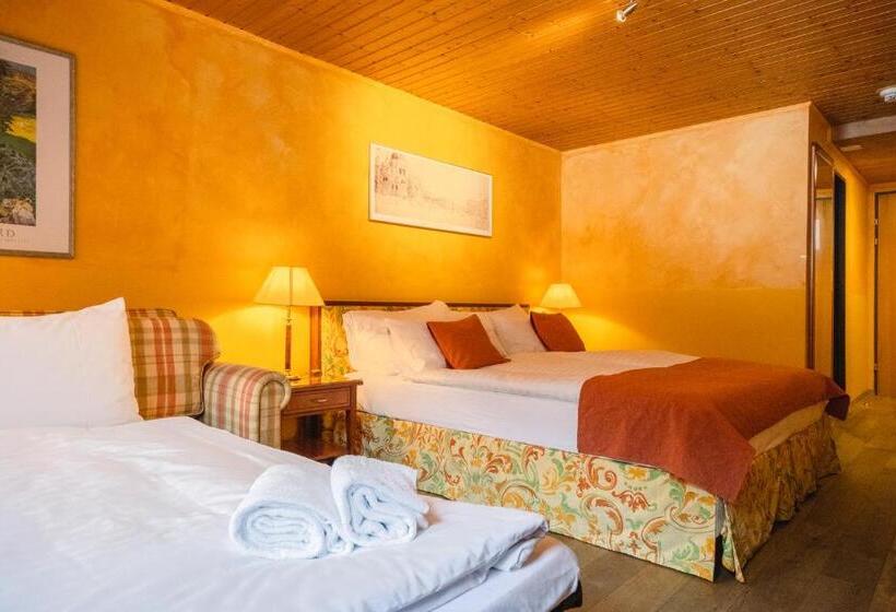 اتاق سوپریور, Silberhorn   Residences & Spa Wengen