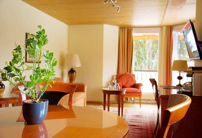 سوئیت با چشم‌انداز, Silberhorn   Residences & Spa Wengen
