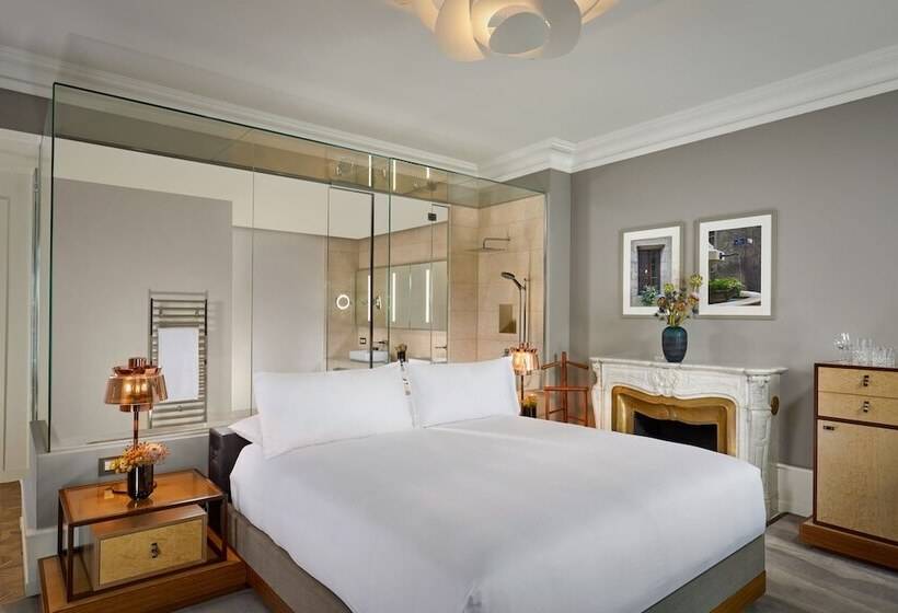 اتاق پرمیوم, The Ritz Carlton Hotel De La Paix, Geneva
