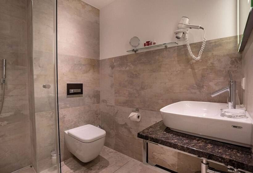 اتاق سوپریور یک تخته, Villa Westend Hotel An Der Messe