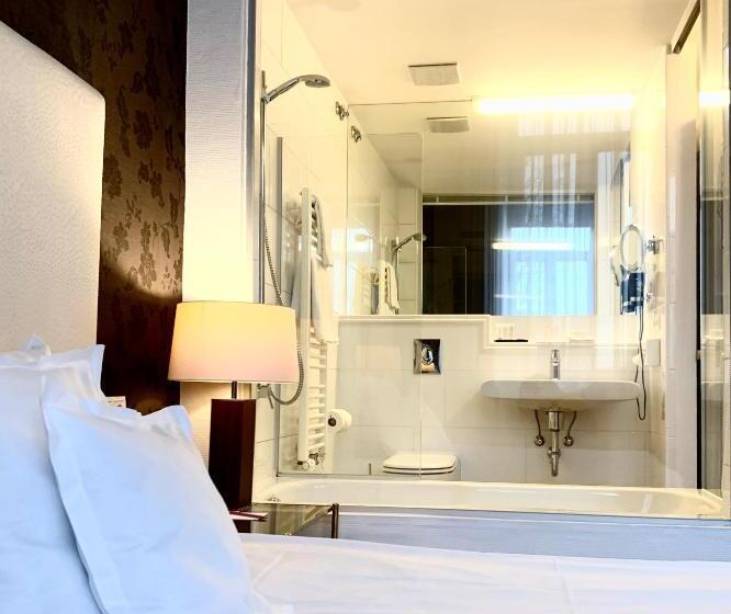 豪华单人间, Bamberger Hof Bellevue