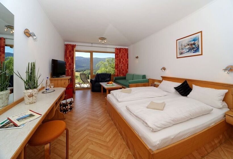 Номер Стандарт с Террасой, Osserhotel Garni