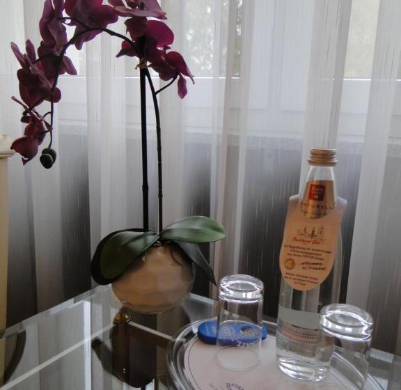 Номер бизнес-класса, Stadthotel Geis