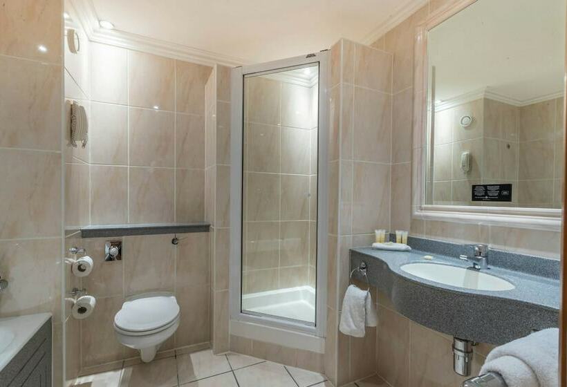 디럭스 룸, Riu Plaza The Gresham Dublin