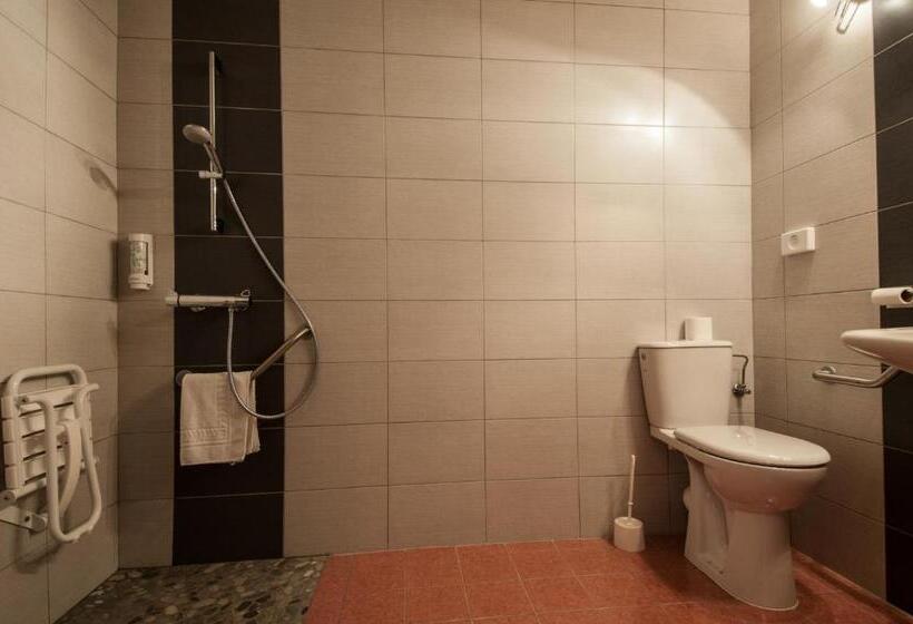 Номер Стандарт Адаптированный для Инвалидов, Brit Hotel Florimont
