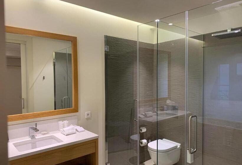 Номер Deluxe, Hôtel De Cavoye