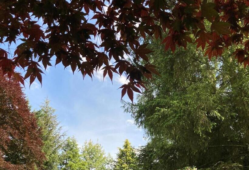 디럭스 룸 킹사이즈 침대, Heathpark House