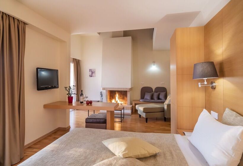 Президентский Люкс, Domotel Anemolia Mountain Resort