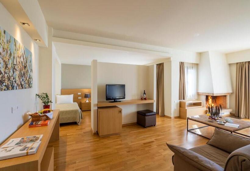 Представительский люкс с видом, Domotel Anemolia Mountain Resort