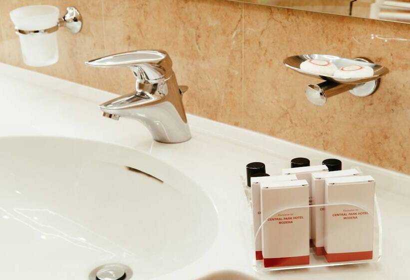 스탠다드 싱글 룸, Central Park Hotel Modena