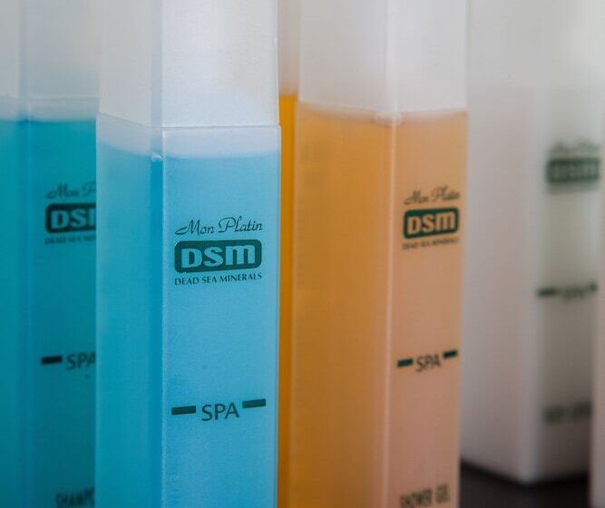 エクゼクティブルーム, Leonardo Plaza Hotel Jerusalem