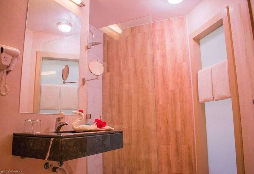 Номер Стандарт, Hamilton Agadir