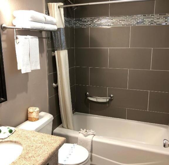 Standard Værelse King Size Seng, Alamo Inn And Suites  Convention Center