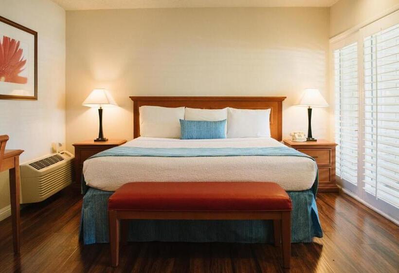 Standard Værelse King Size Seng, Alamo Inn And Suites  Convention Center