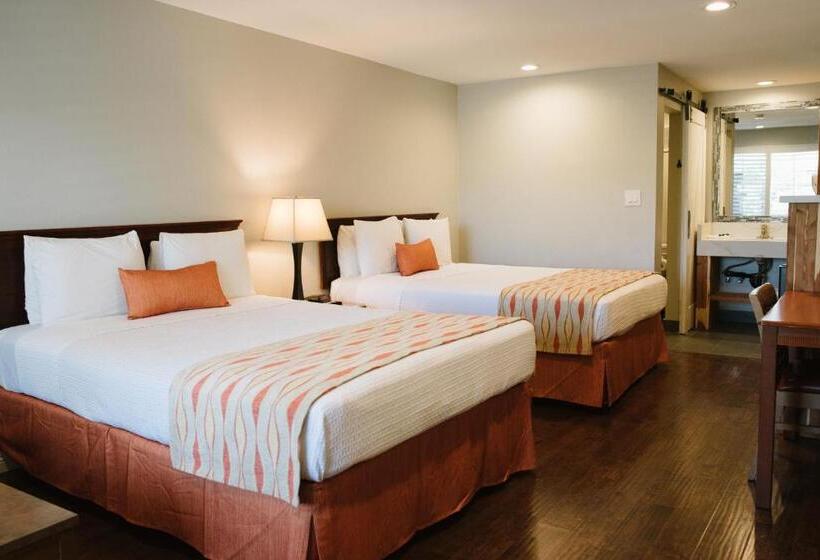 Standard Værelse, Alamo Inn And Suites  Convention Center
