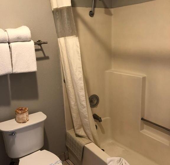 Standard Værelse 2 Dobbeltsenge, Alamo Inn And Suites  Convention Center