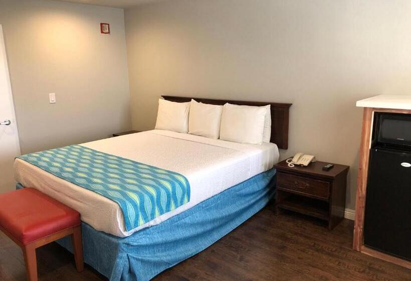 Standard Værelse King-seng Tilpasset til Handicappede, Alamo Inn And Suites  Convention Center