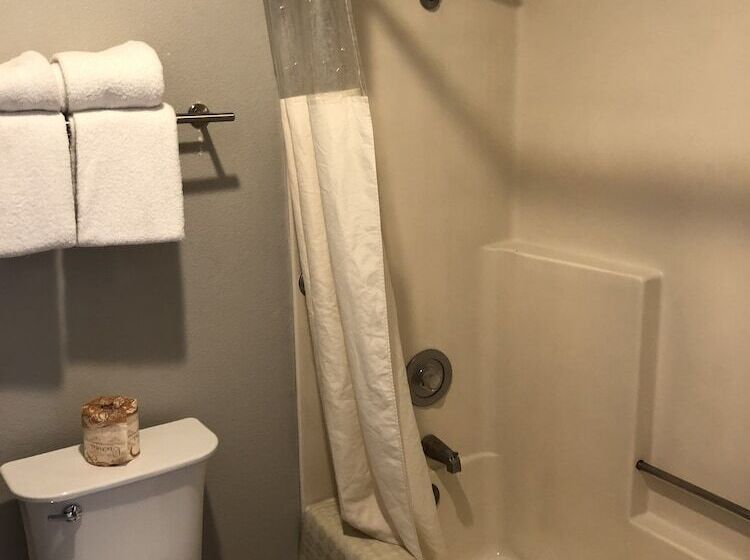 家庭套房, Alamo Inn And Suites  Convention Center