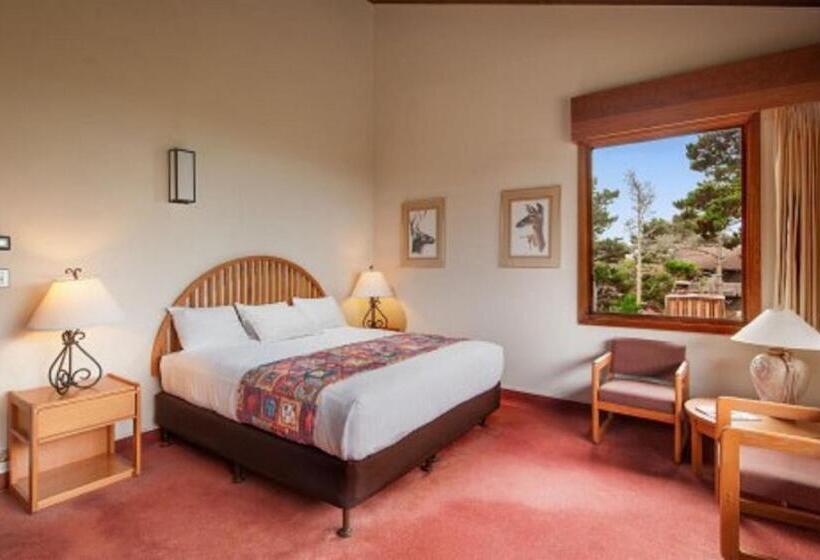 스탠다드 룸 킹사이즈 침대, Asilomar Conference Grounds