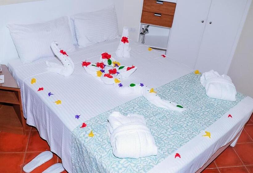 اتاق سوپریور با چشم‌انداز دریا, Dahab Lagoon Club & Resort Ex Tirana Dahab