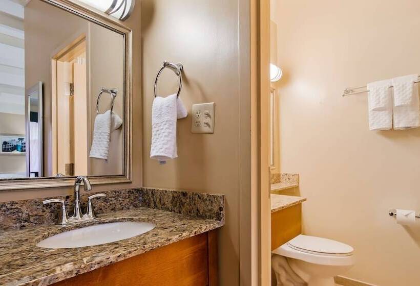 带2个双人床的标准工作室, Best Western Charleston Inn