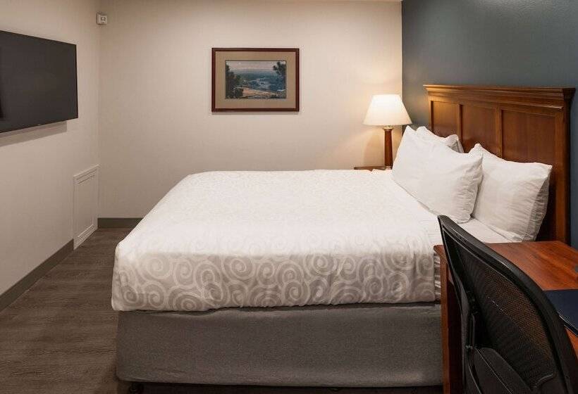 带2个双人床的标准工作室, Best Western Plus Clocktower Inn
