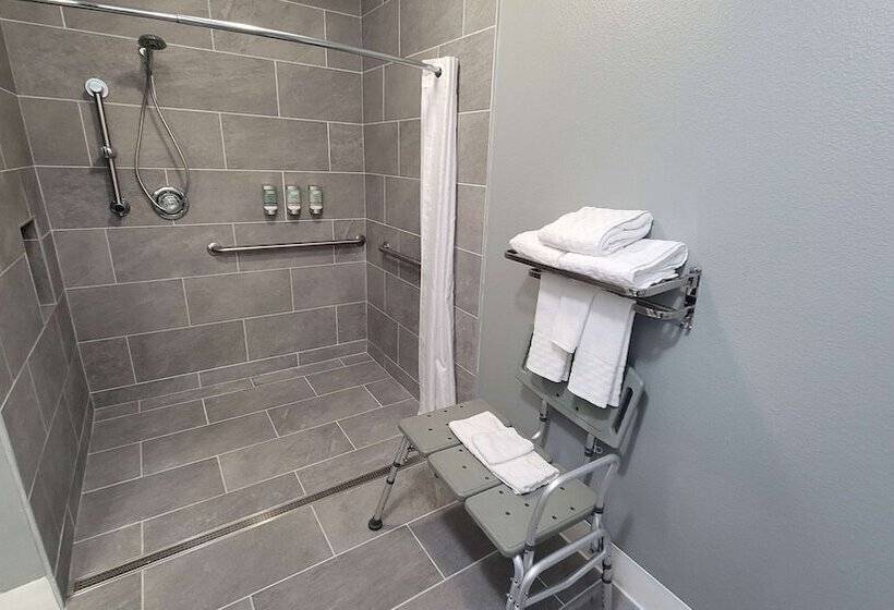 Люкс Адаптированный для Инвалидов, Best Western Pocatello Inn