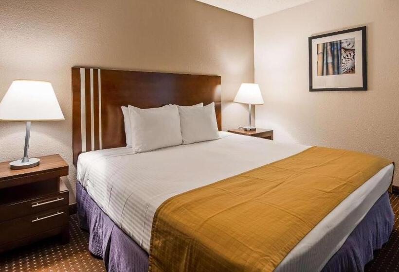 اتاق استاندارد با تخت بزرگ, Best Western Yacht Harbor