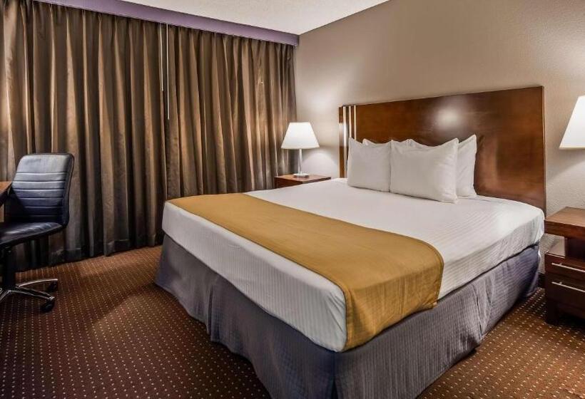 اتاق استاندارد با تخت بزرگ, Best Western Yacht Harbor