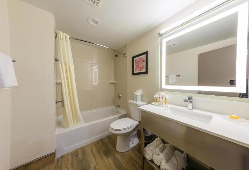 Номер Стандарт, Holiday Inn Brookfield   Milwaukee, An Ihg