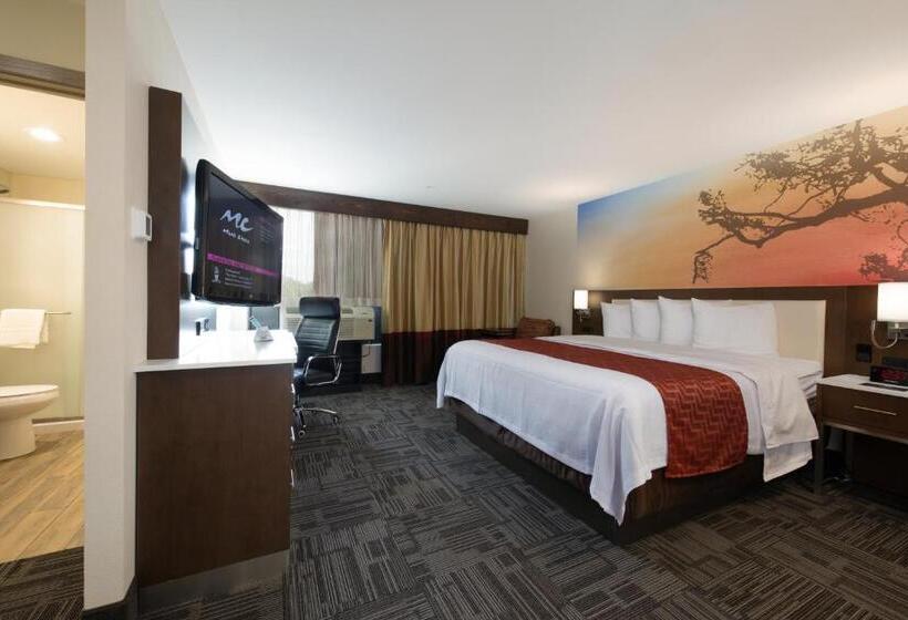 Номер Стандарт Двуспальная Кровать, Holiday Inn Brookfield   Milwaukee, An Ihg