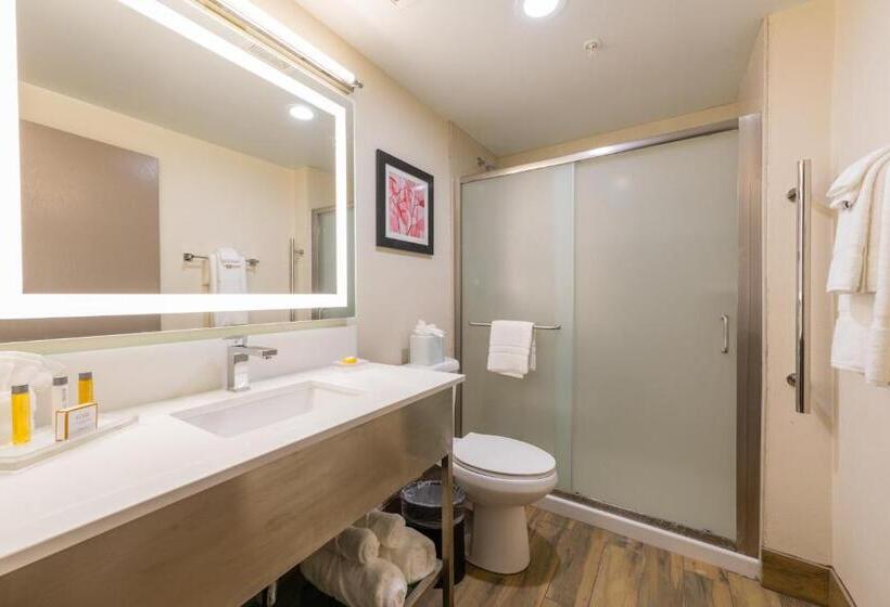 스탠다드 룸 더블 침대, Holiday Inn Brookfield   Milwaukee, An Ihg