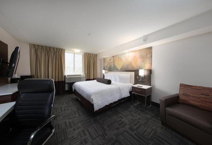 Номер Стандарт, Holiday Inn Brookfield   Milwaukee, An Ihg