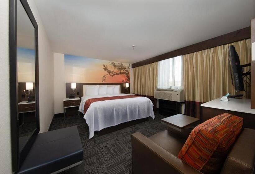 Стандартный Номер Кровать Кинг, Holiday Inn Brookfield   Milwaukee, An Ihg
